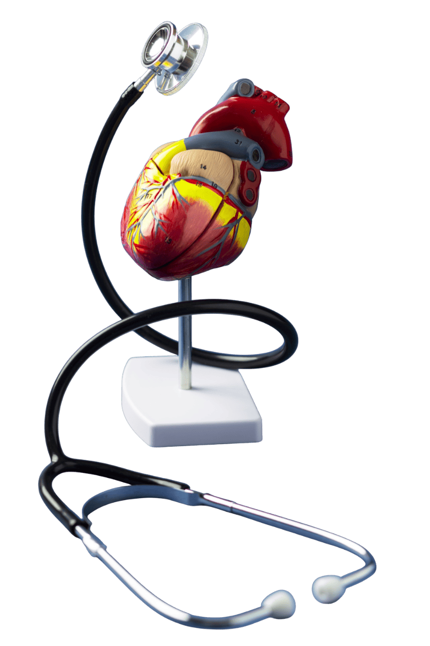 Especialistas en cardiología y ecocardiografía en CDMX - Clínica del Corazón